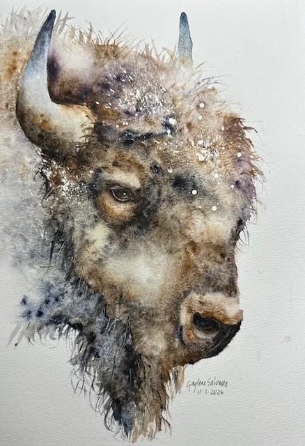 Bison - image 1 - student project