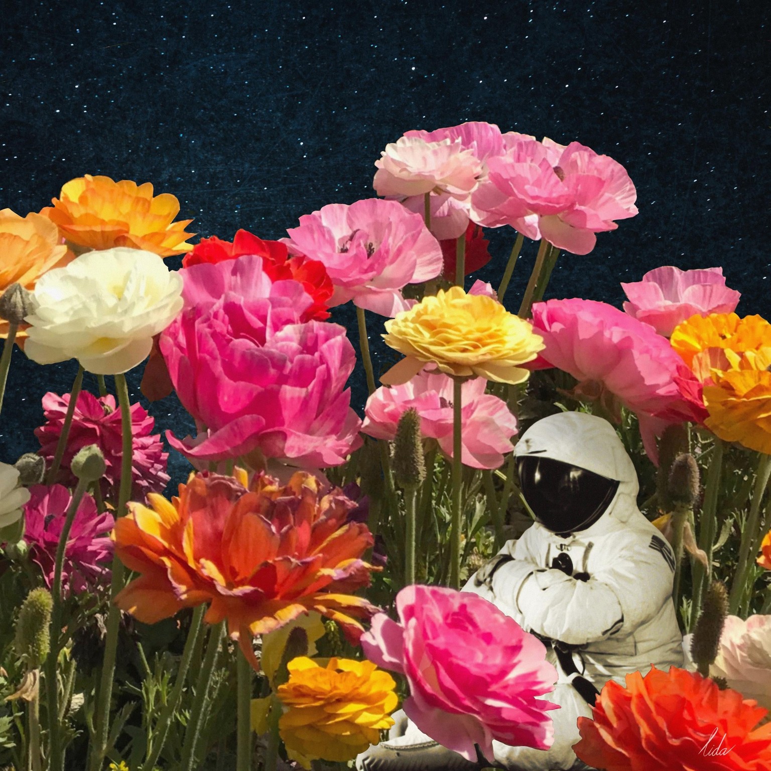 Collage art in Procreate - image 7 - student project