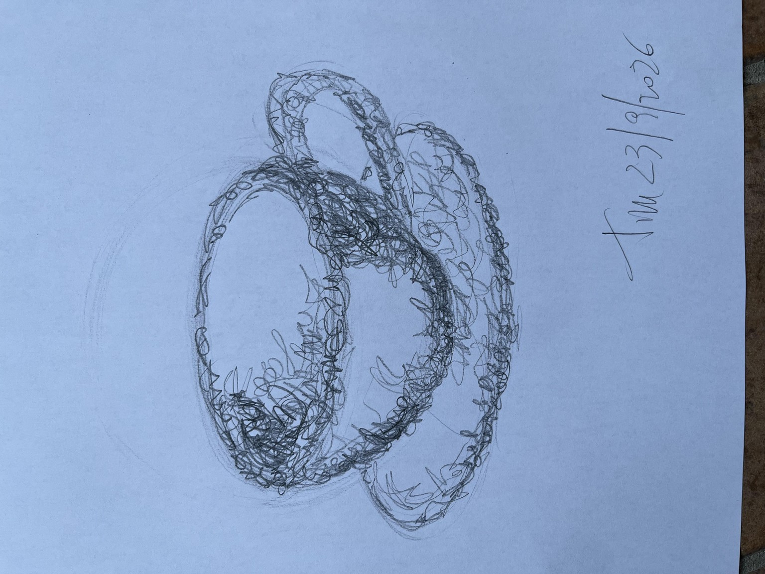 Lasciamo il segno - image 13 - student project