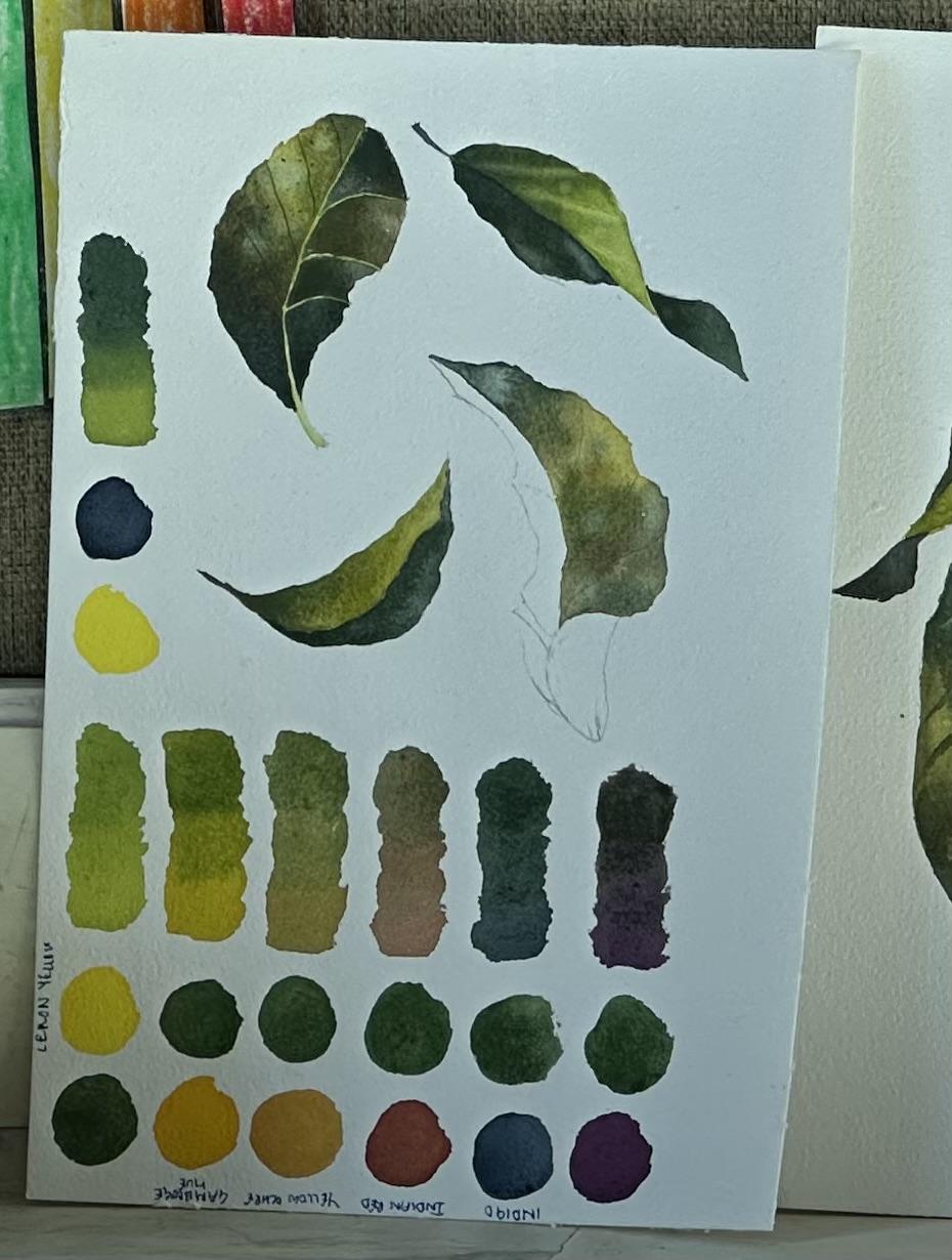 Lemons - image 1 - student project