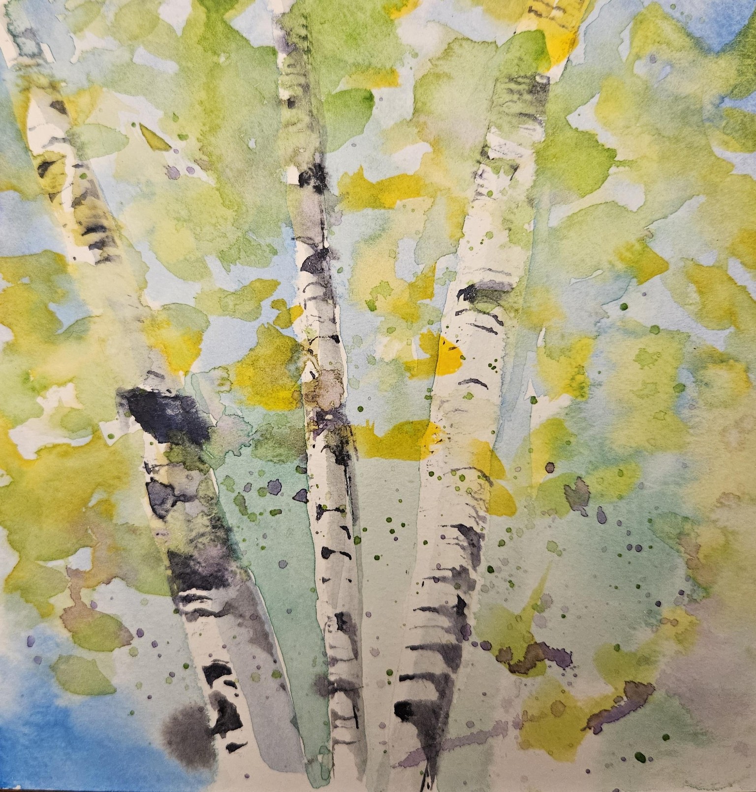 Birch Treetop Sunshine - image 1 - student project