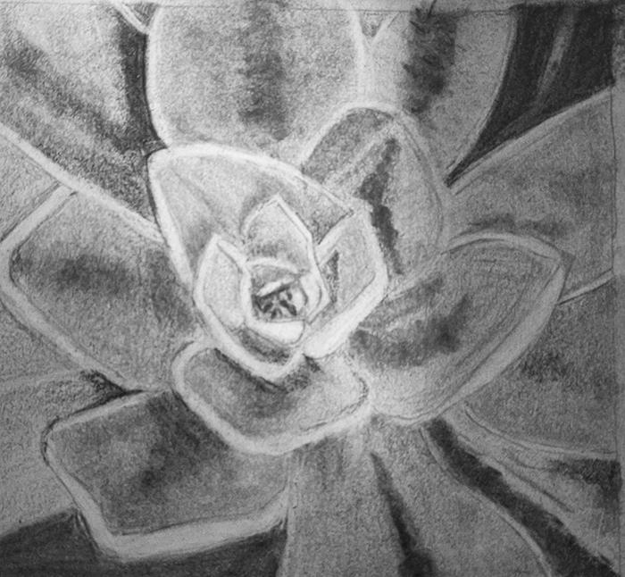 Leaf rosette - image 1 - student project