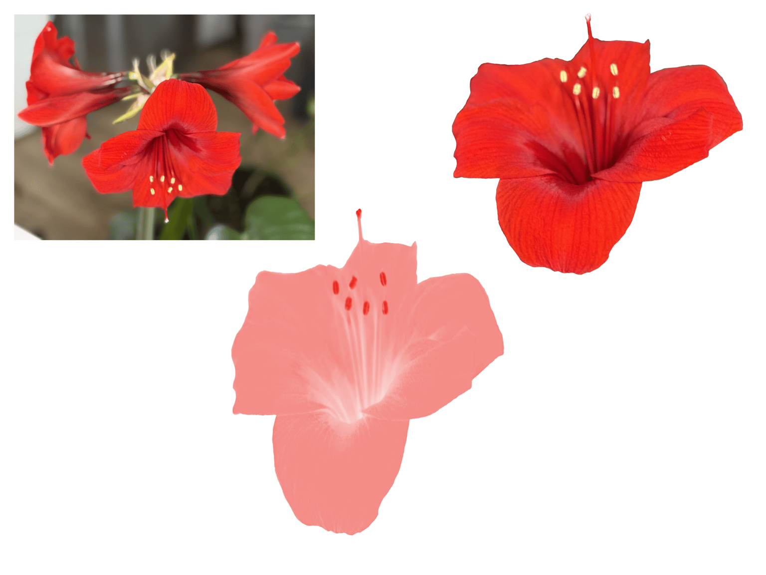 Background Removal to Create Procreate Photo Stamp Brush - image 1 - student project