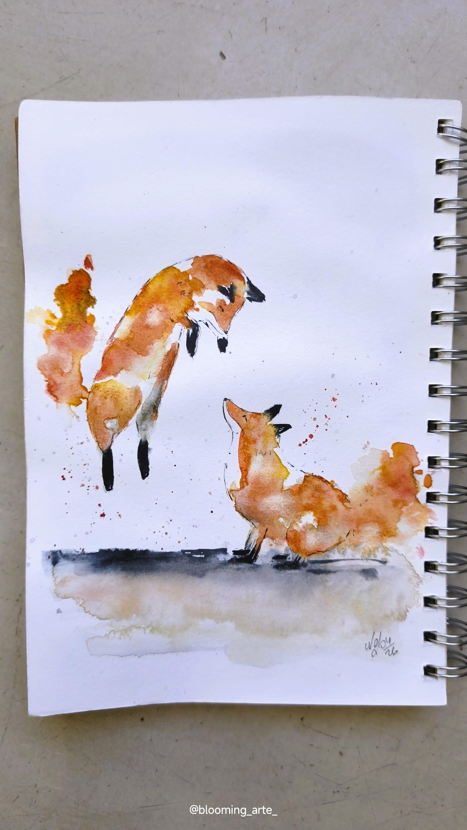 Fast and loose foxes - image 1 - student project