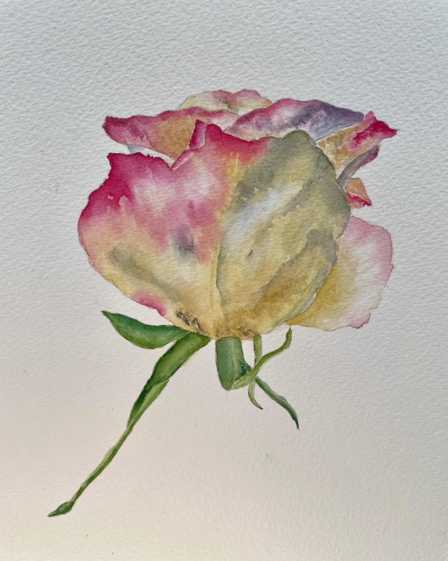 Rose - image 1 - student project