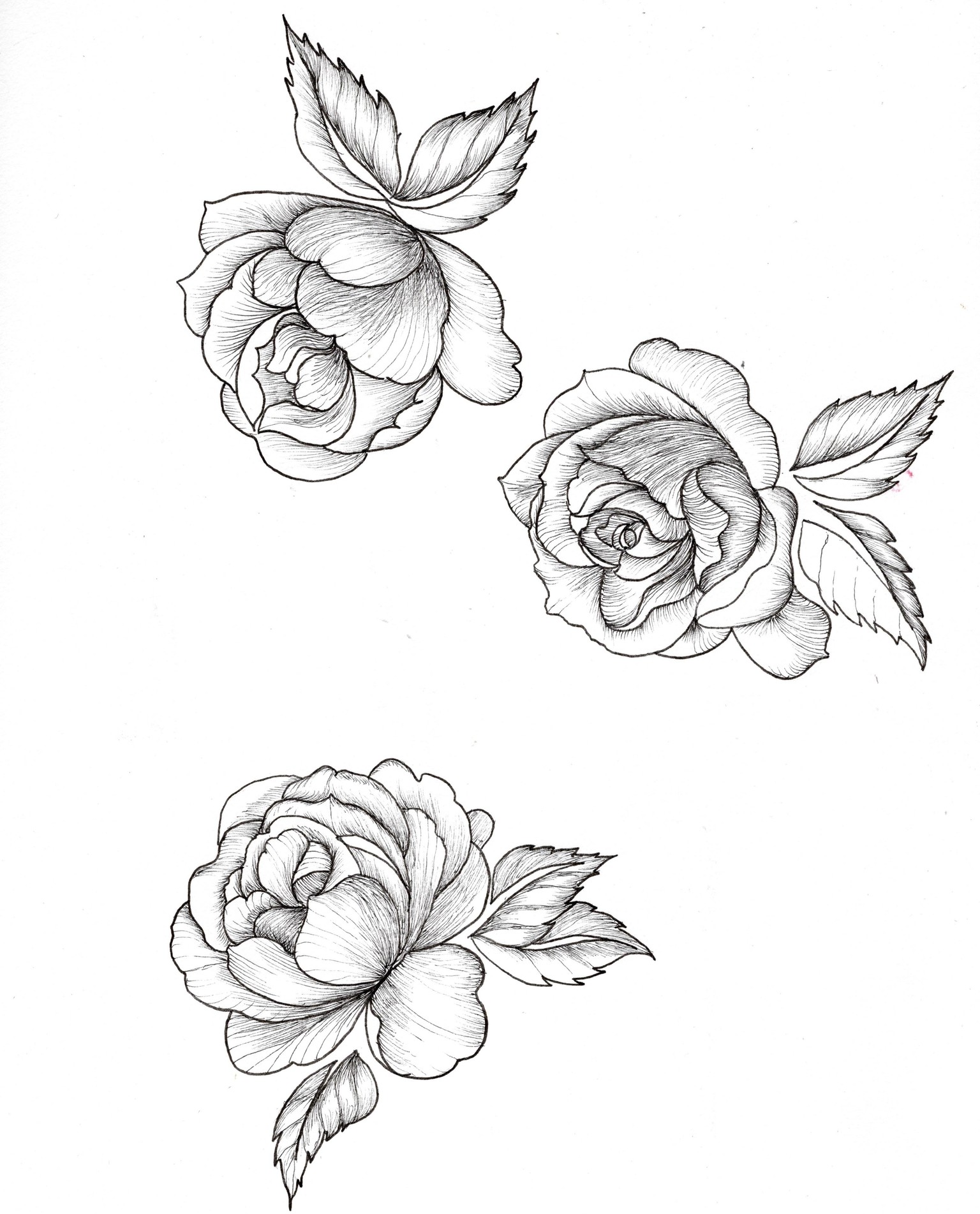 Toile de Chine - image 6 - student project