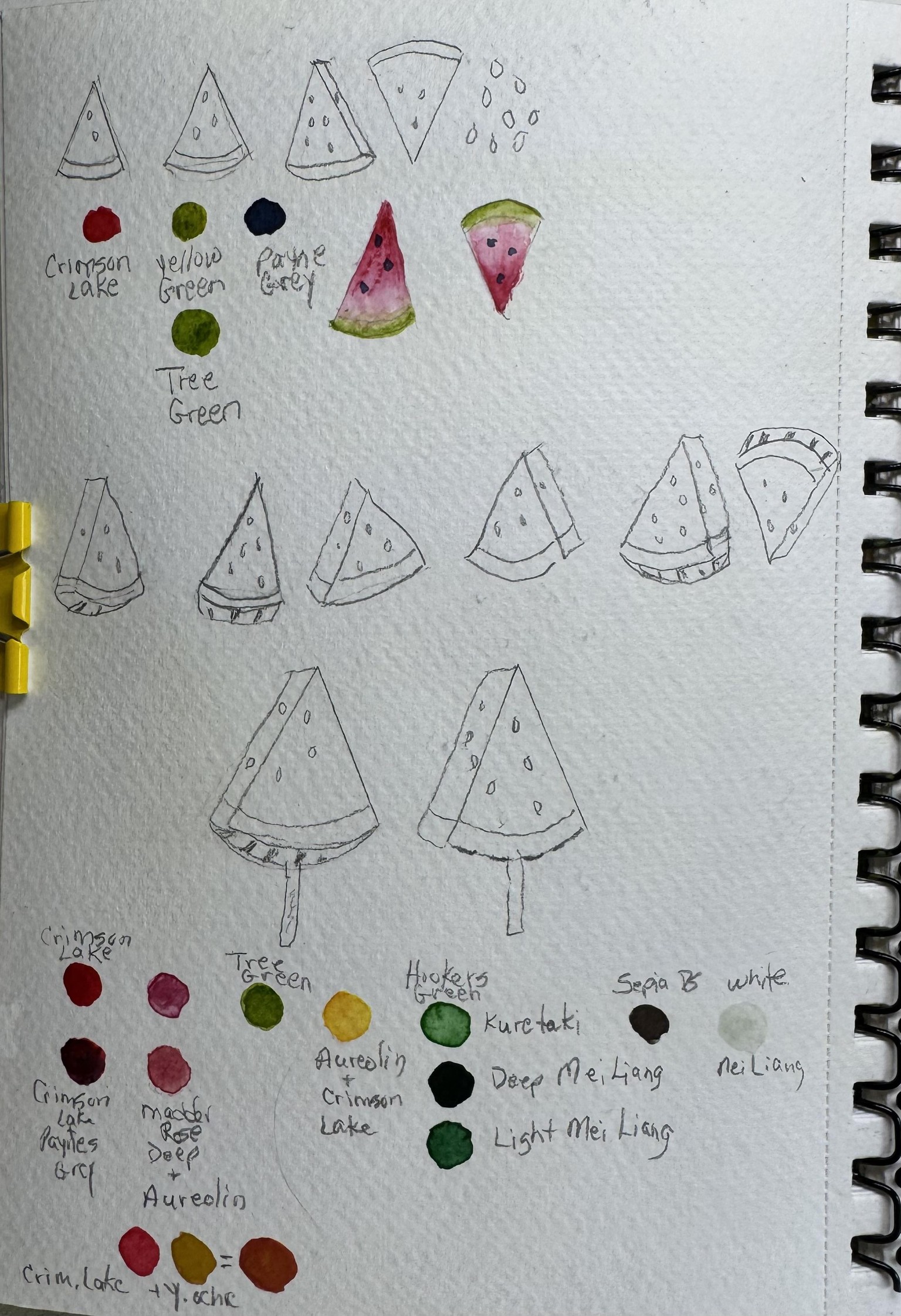 Watermelon Popsicle - image 1 - student project
