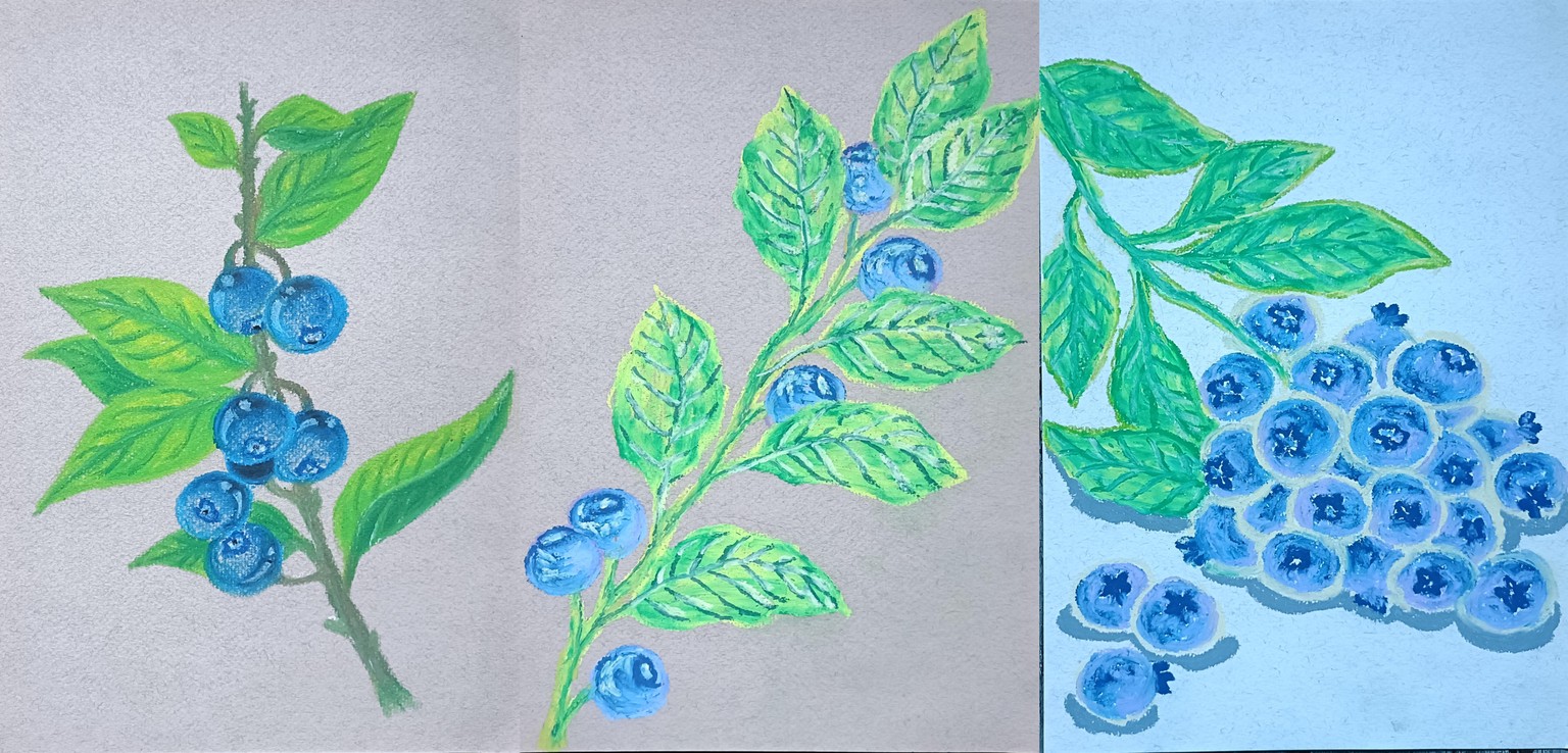 Blueberry branches - image 1 - student project