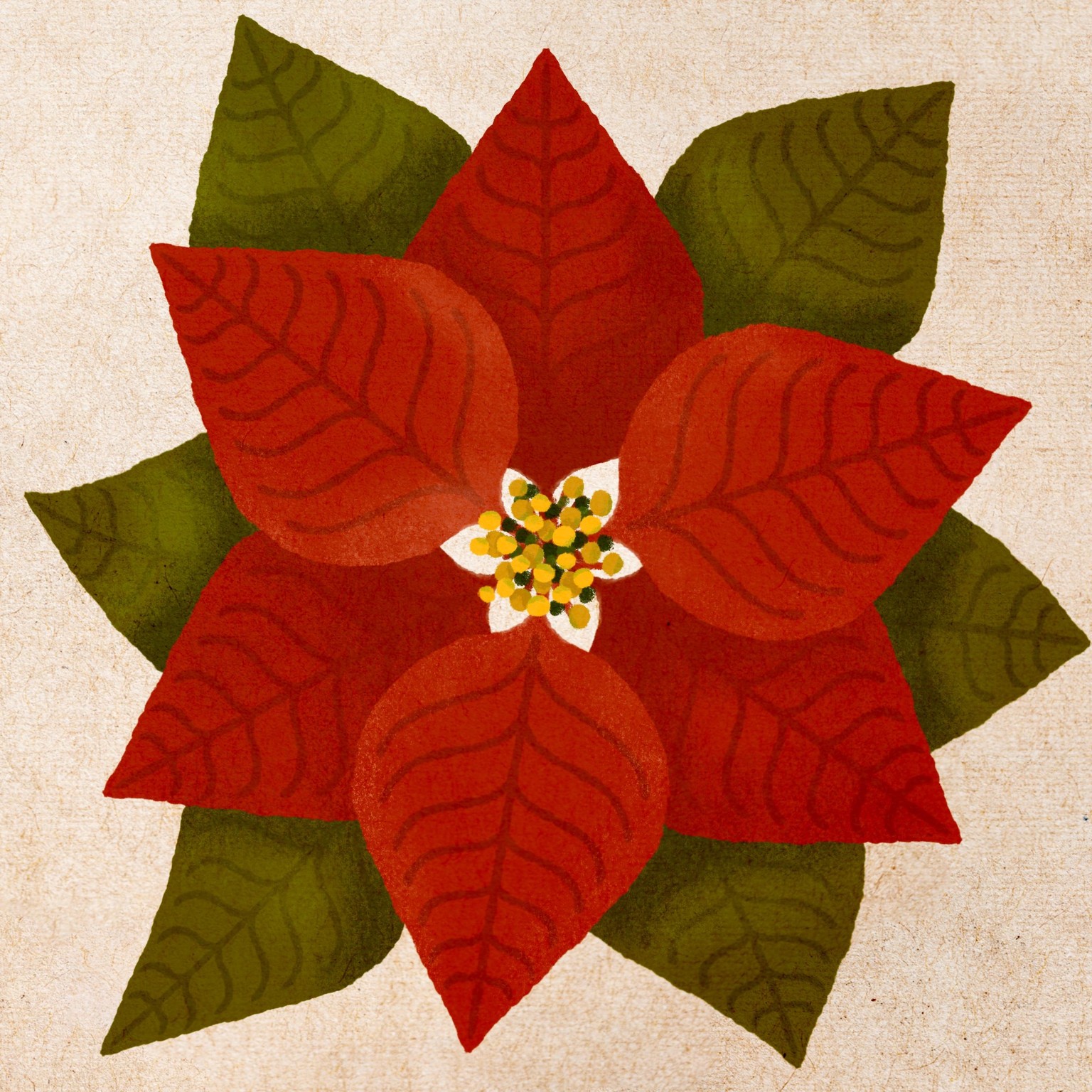 Poinsettia - image 1 - student project