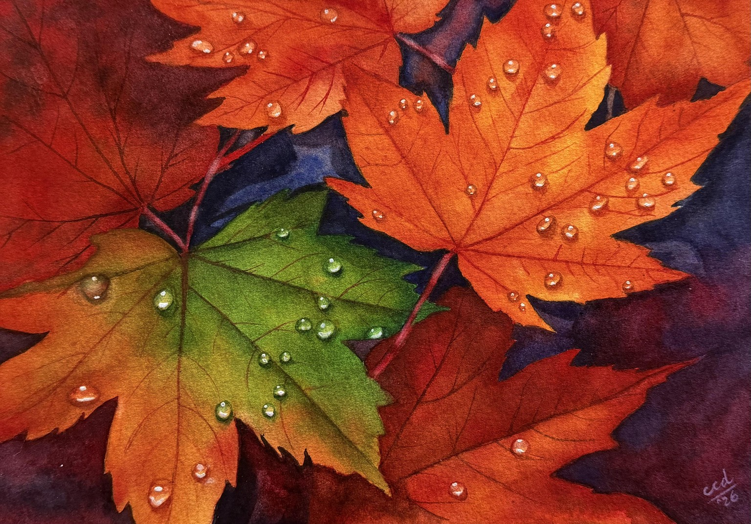 Maple Leaves - image 1 - student project