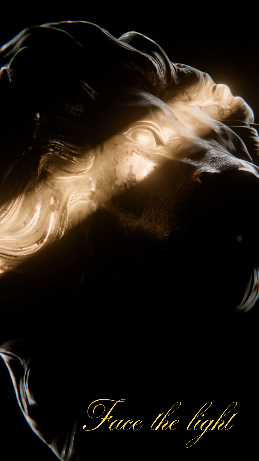 Face the light - image 2 - student project