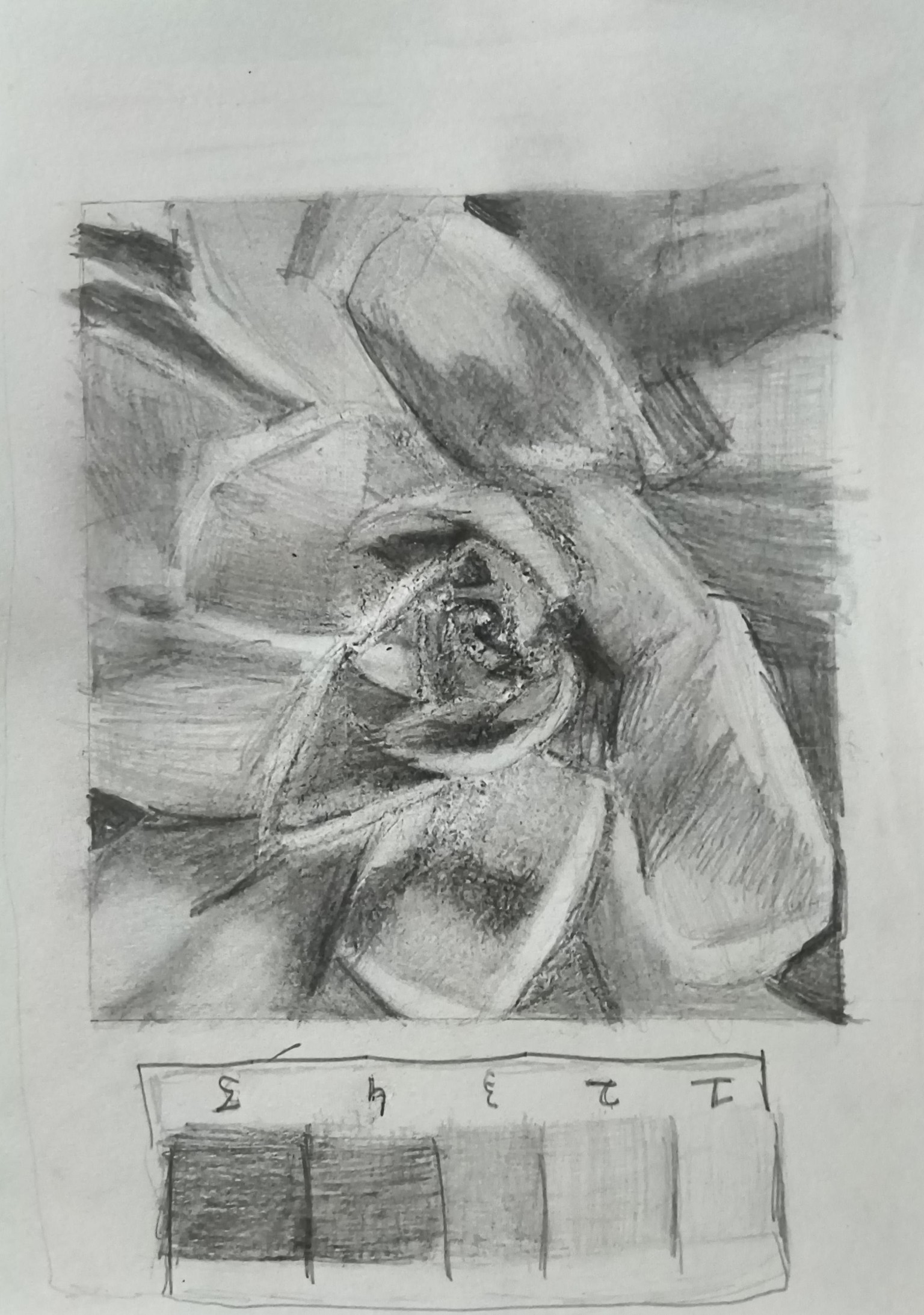 Hand drawn pencil lotus by Aarohi chavan - image 1 - student project