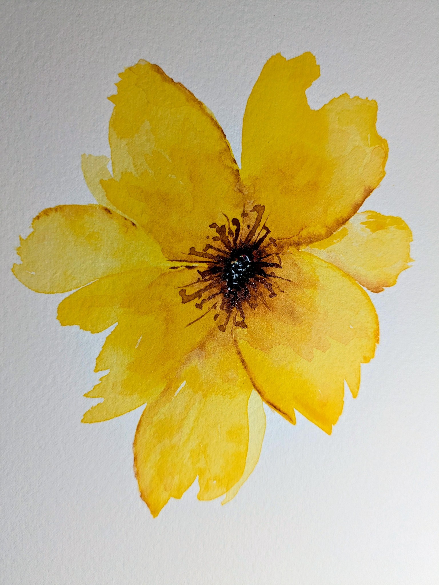 Loose yellow watercolor. - image 1 - student project