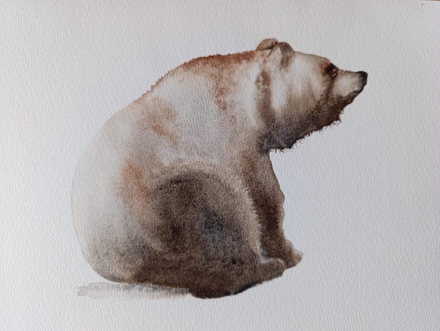 Bear - image 1 - student project