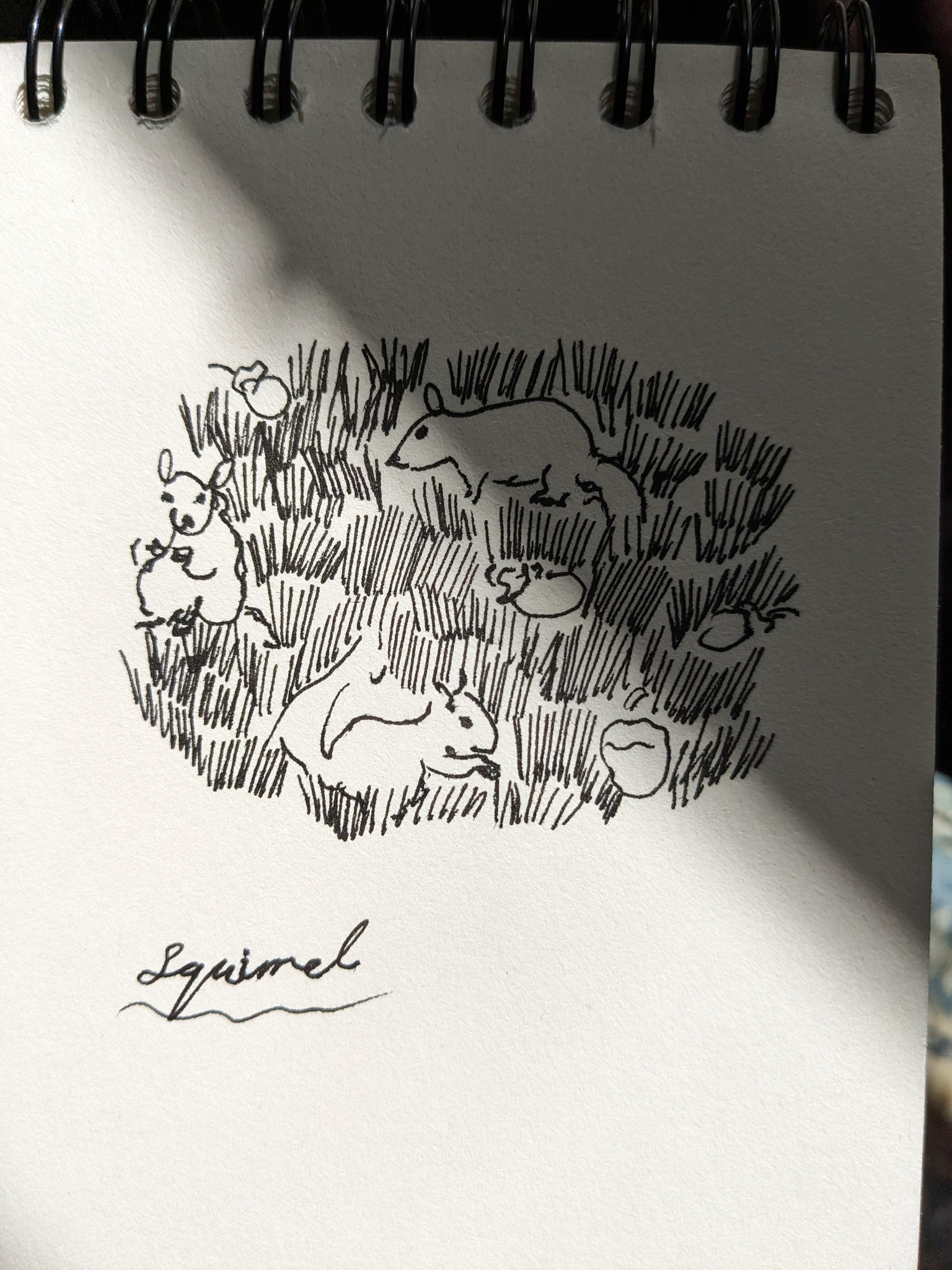 Lines and Storytelling - image 2 - student project