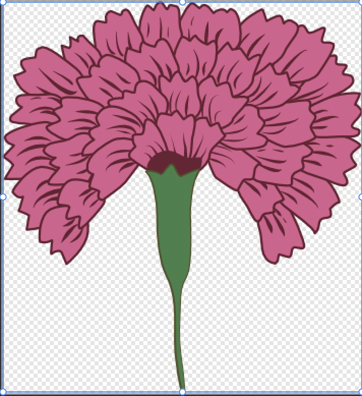 Drawing a Stylized Carnation class - image 1 - student project