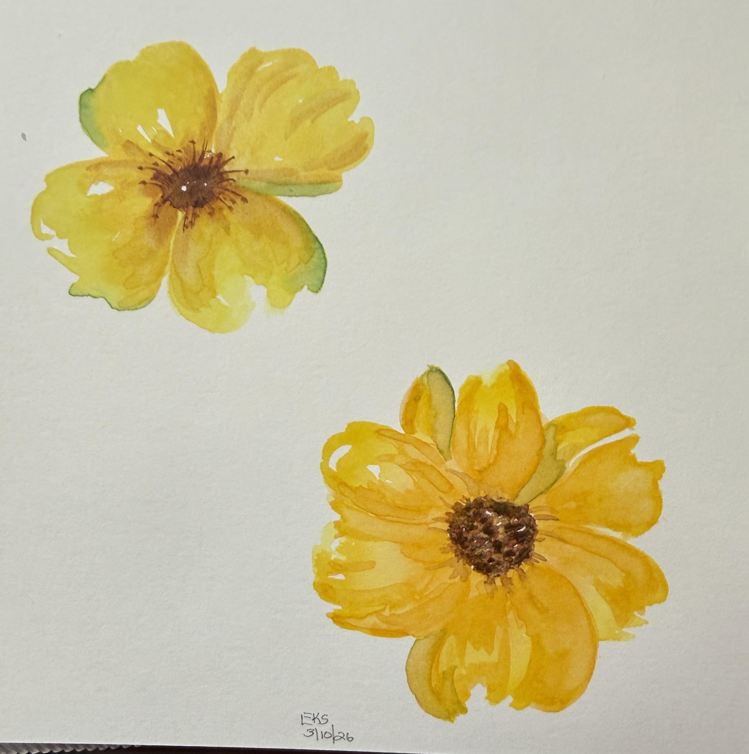 A study in yellow - image 1 - student project