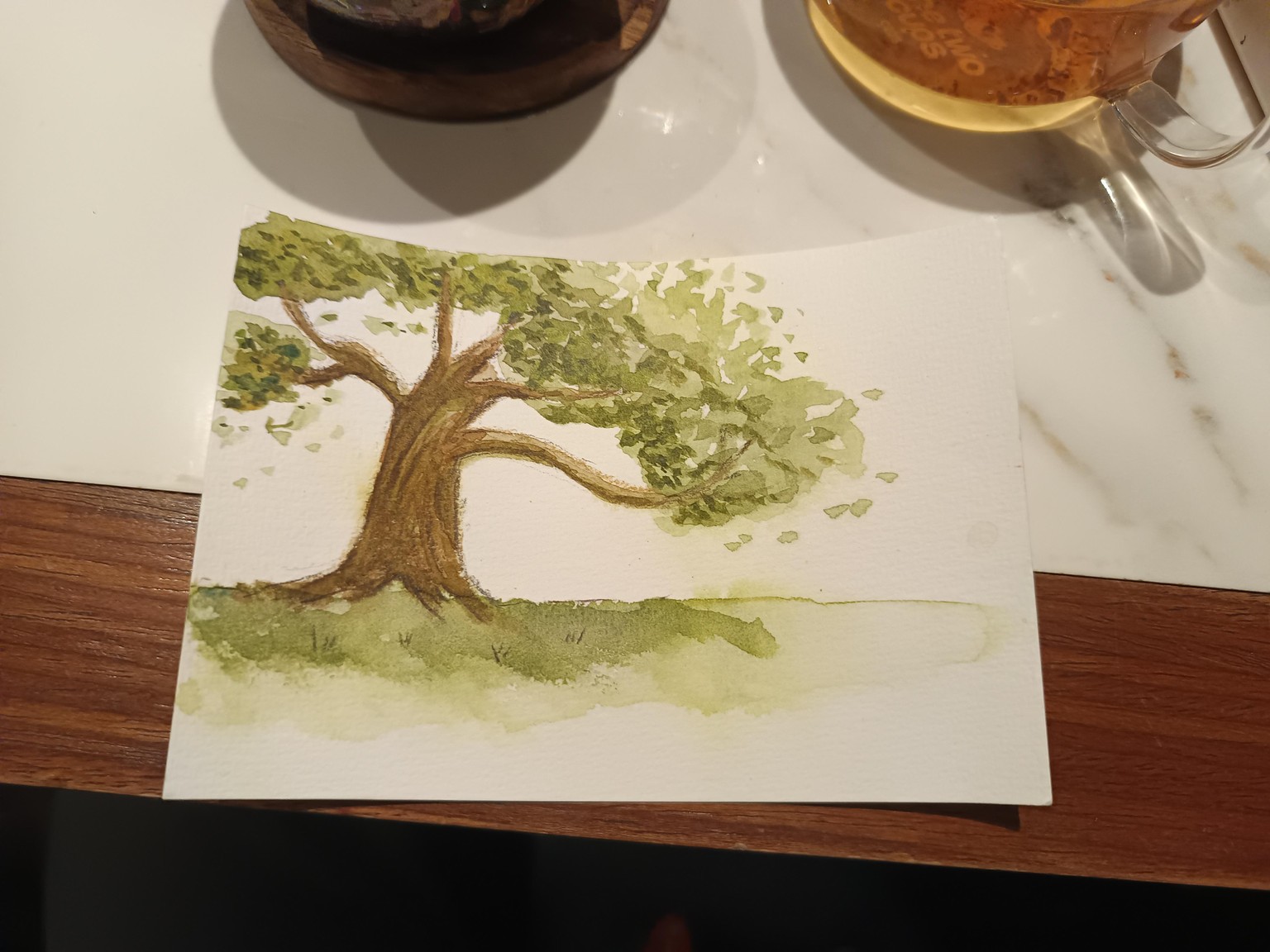 my tree - image 1 - student project