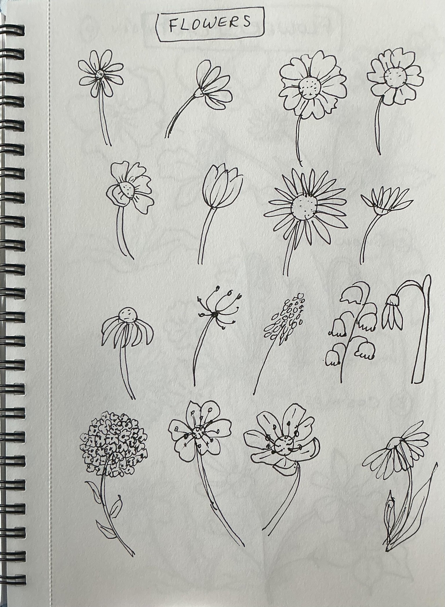 Flower doodles - image 1 - student project