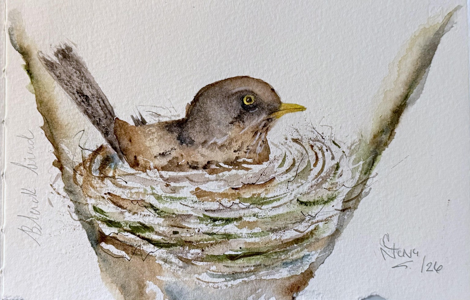 Nesting Bird - image 1 - student project