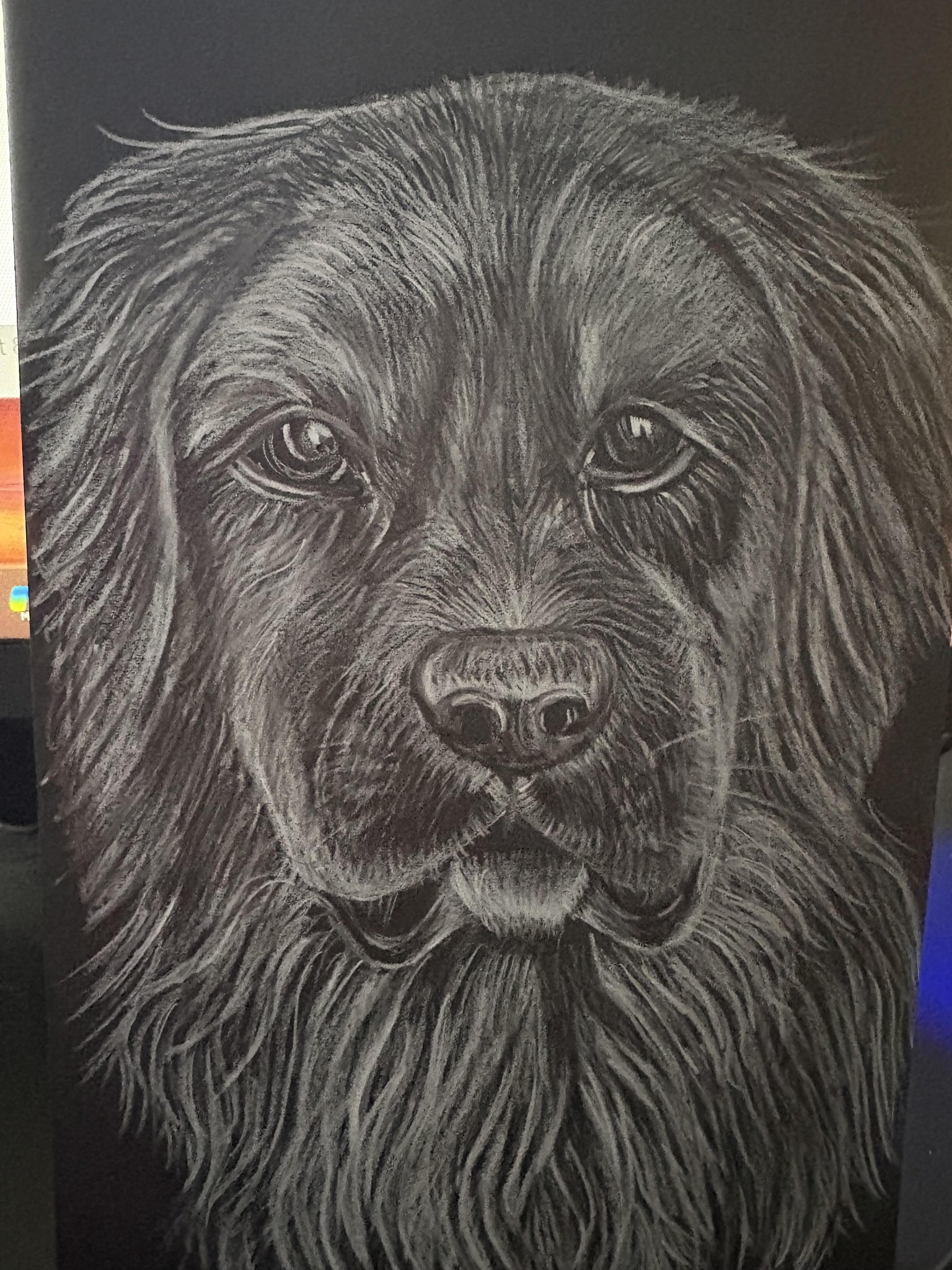 Retriever - image 1 - student project