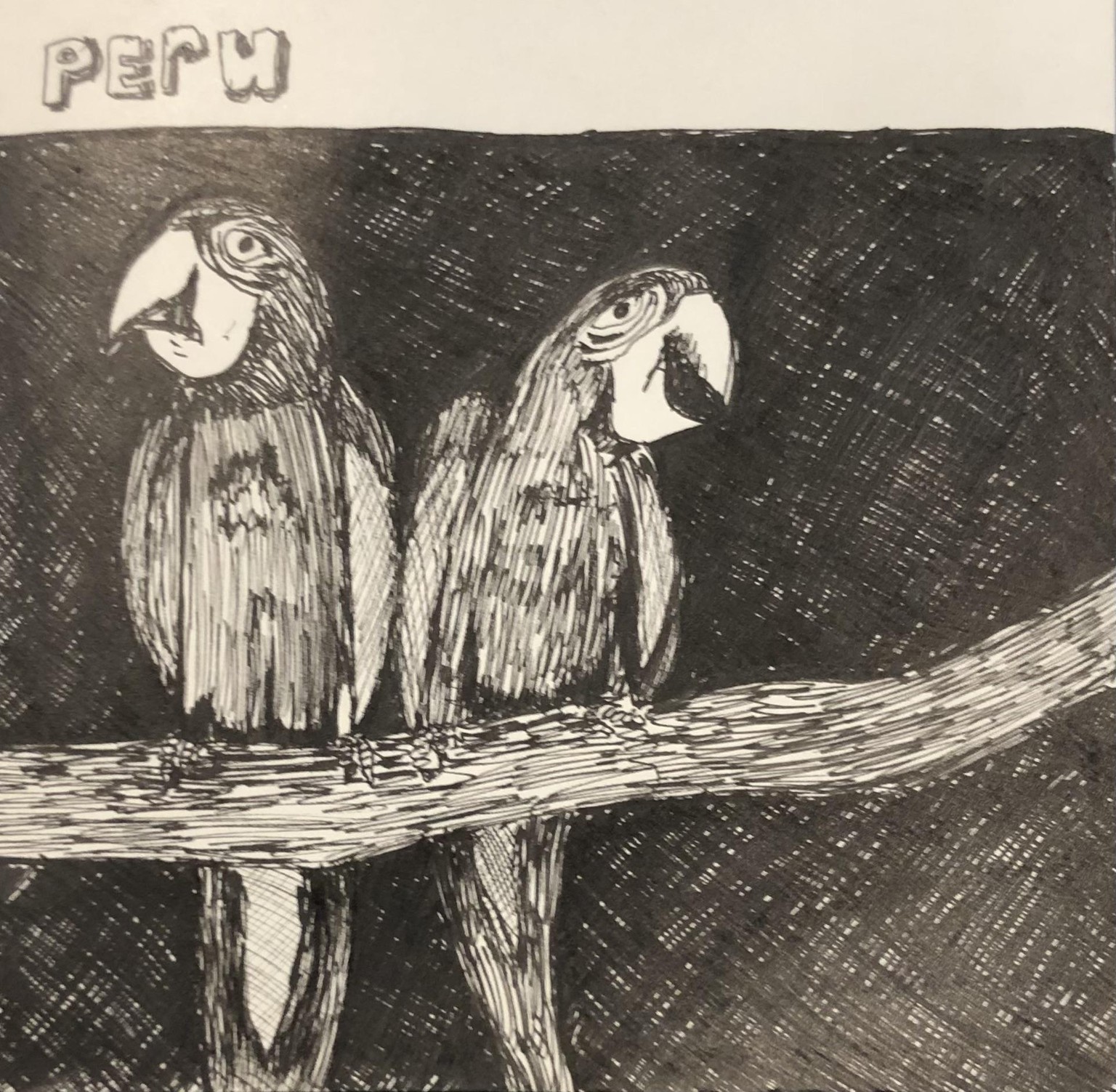 Different shaded pen-drawings - image 2 - student project