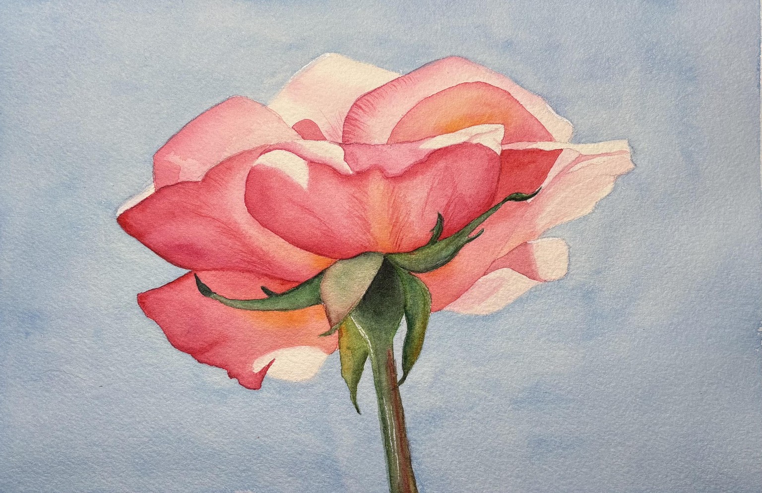 Watercolor Rose - image 1 - student project