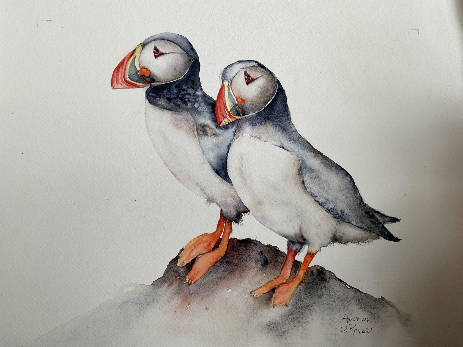 pretty Puffins with Jane - image 1 - student project