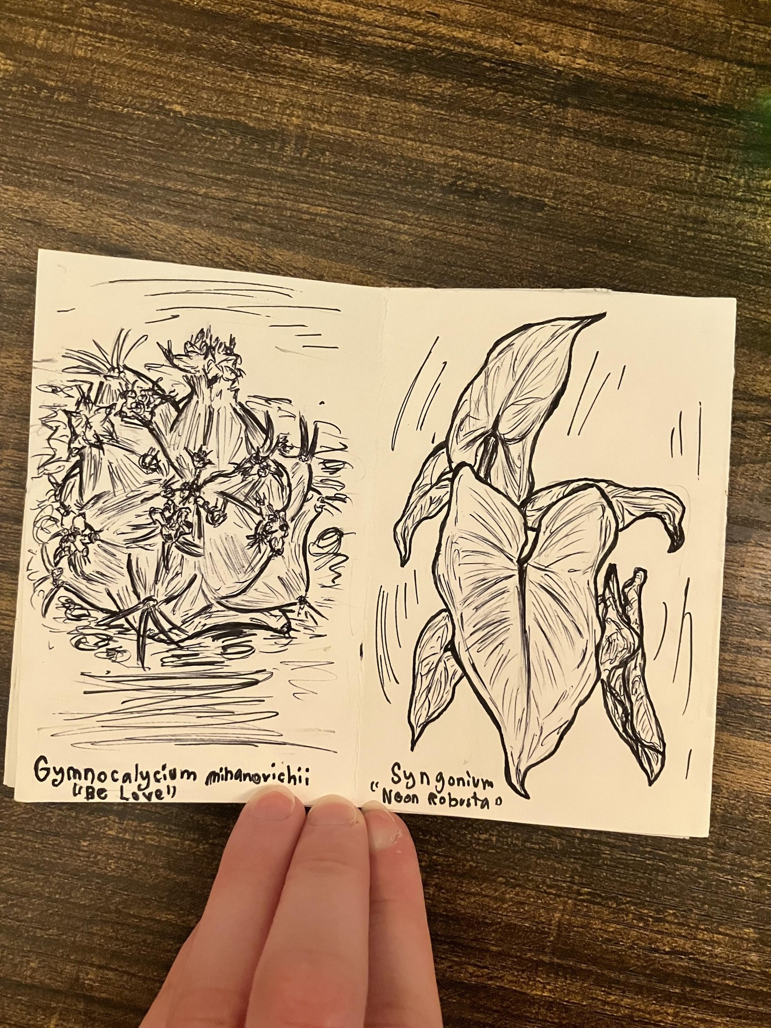 Botanical zine - image 3 - student project