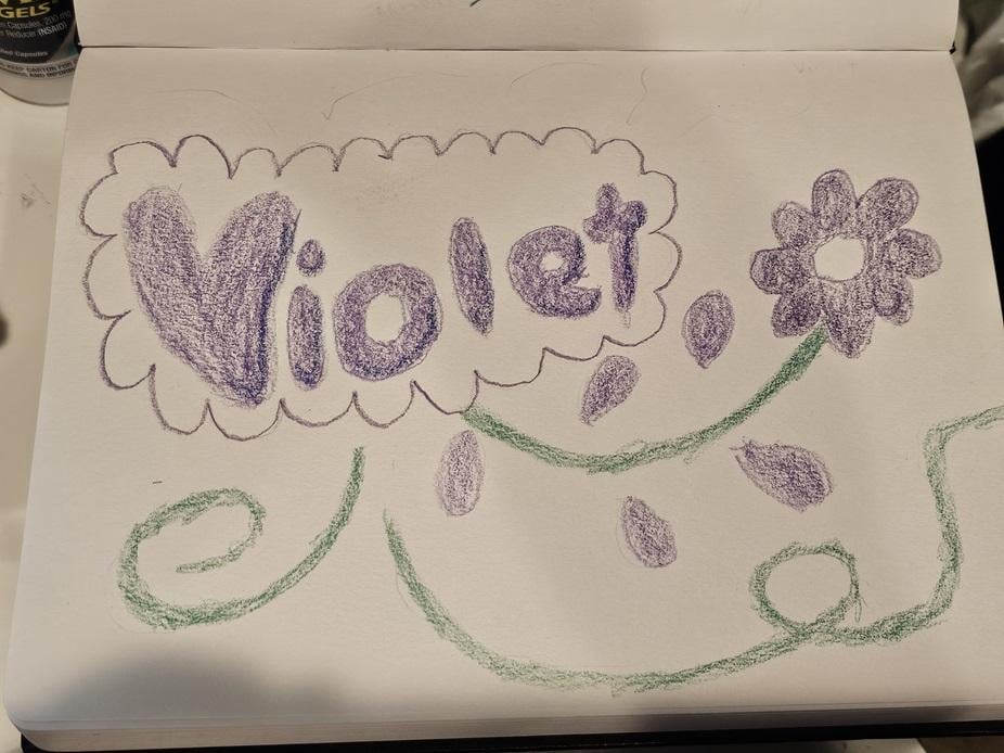 Violet - image 1 - student project