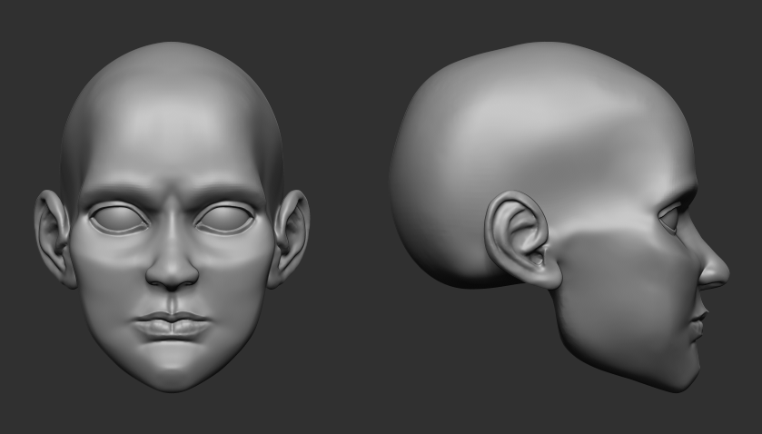 First face sculpt - image 1 - student project
