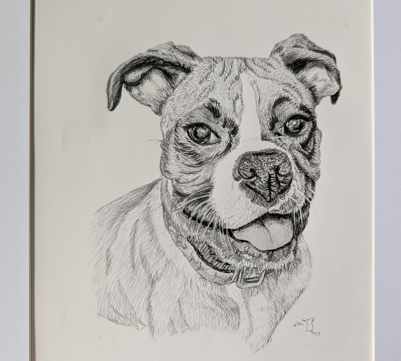 How to Capture Any Dog Portrait - image 1 - student project