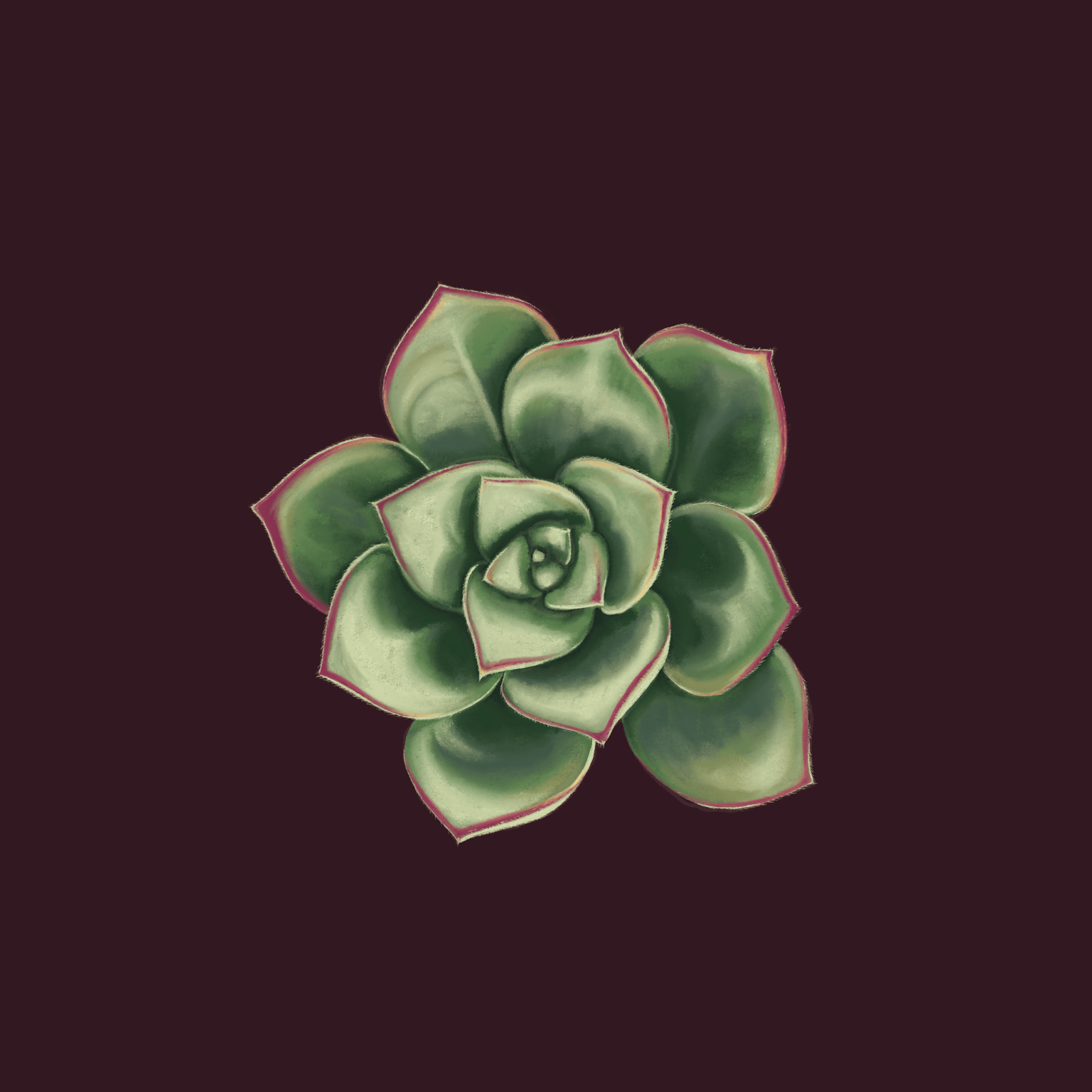 Our Pastel Succulents in Procreate - image 2 - student project