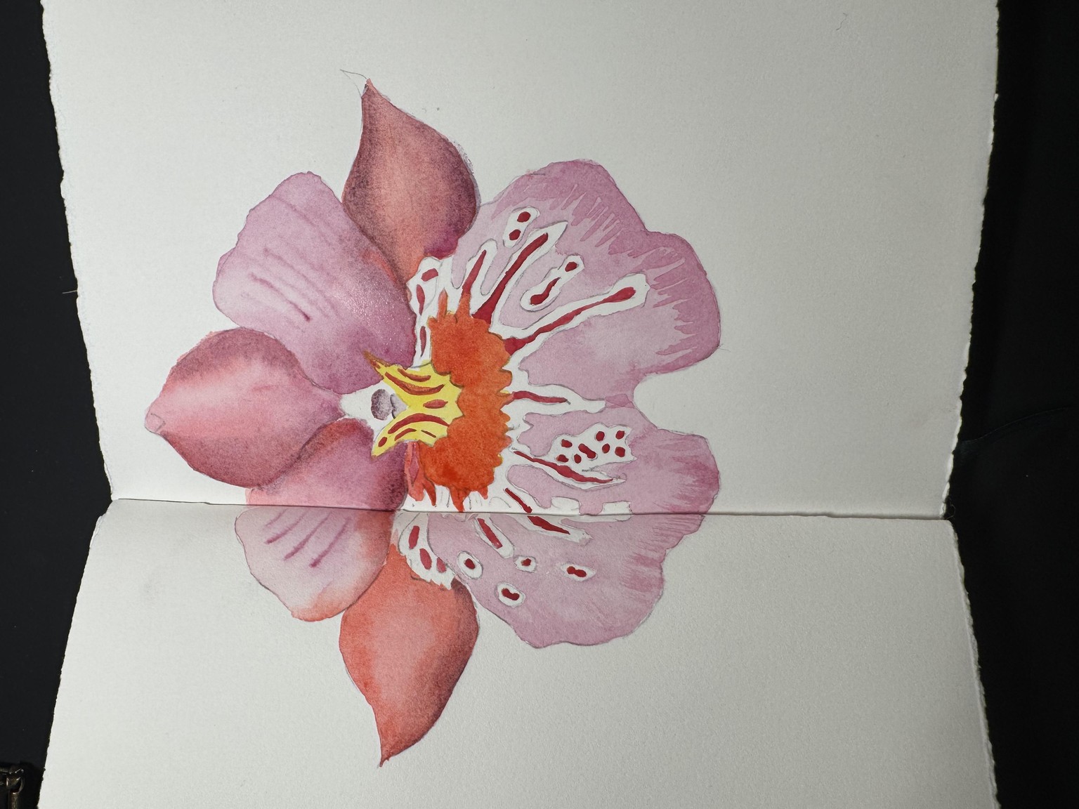 Orchids - image 1 - student project