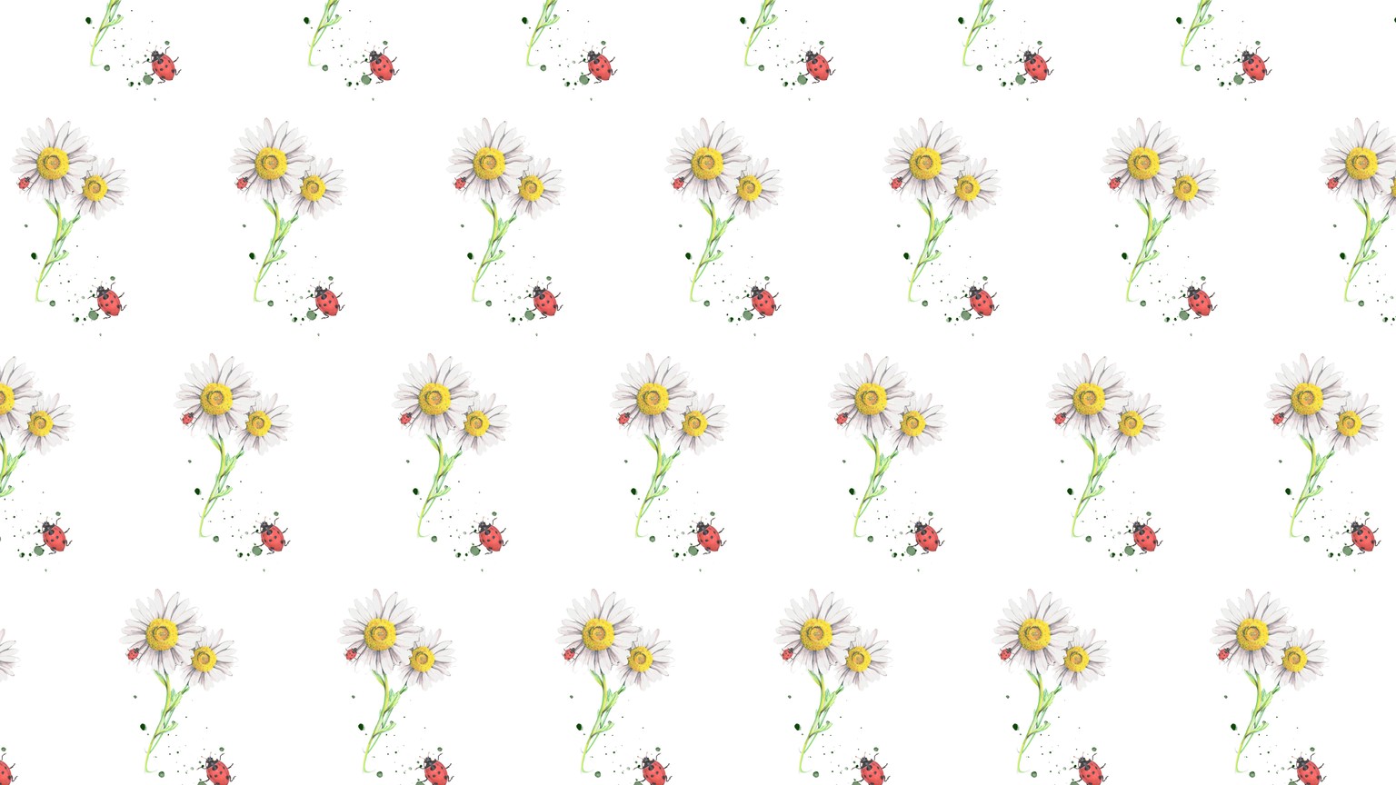 Ladybug on a Daisy - image 1 - student project