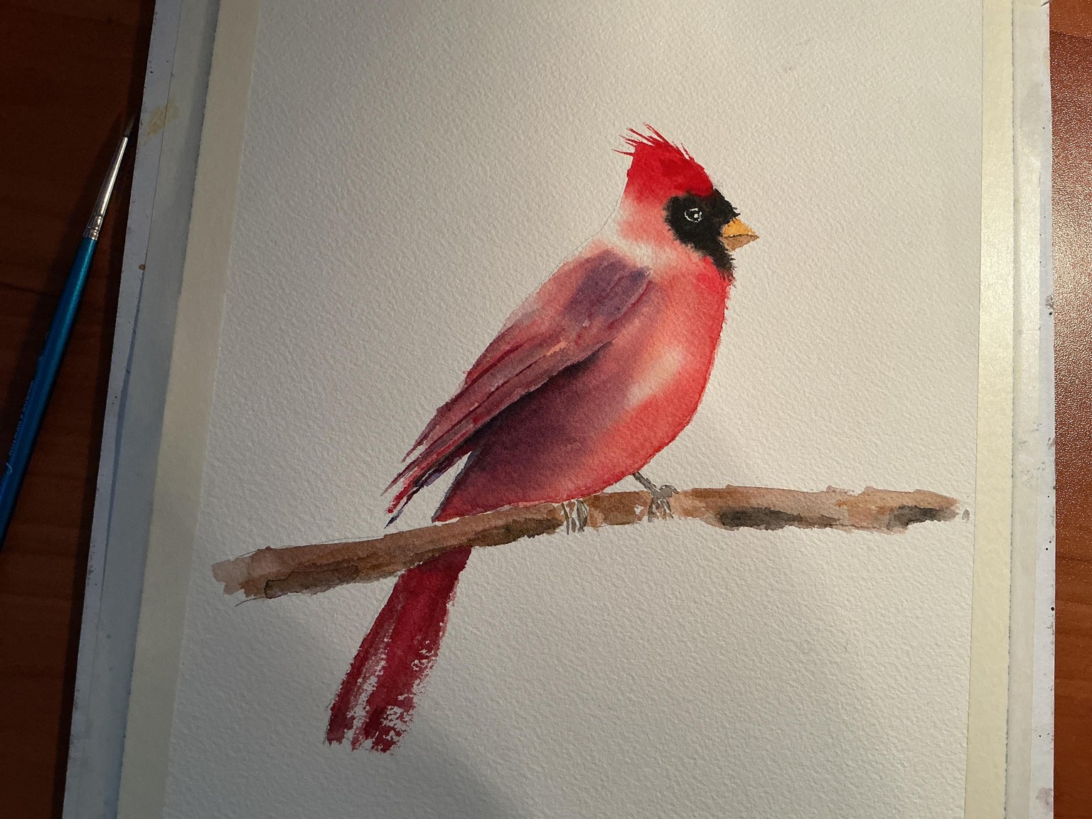 Cardinal - image 1 - student project