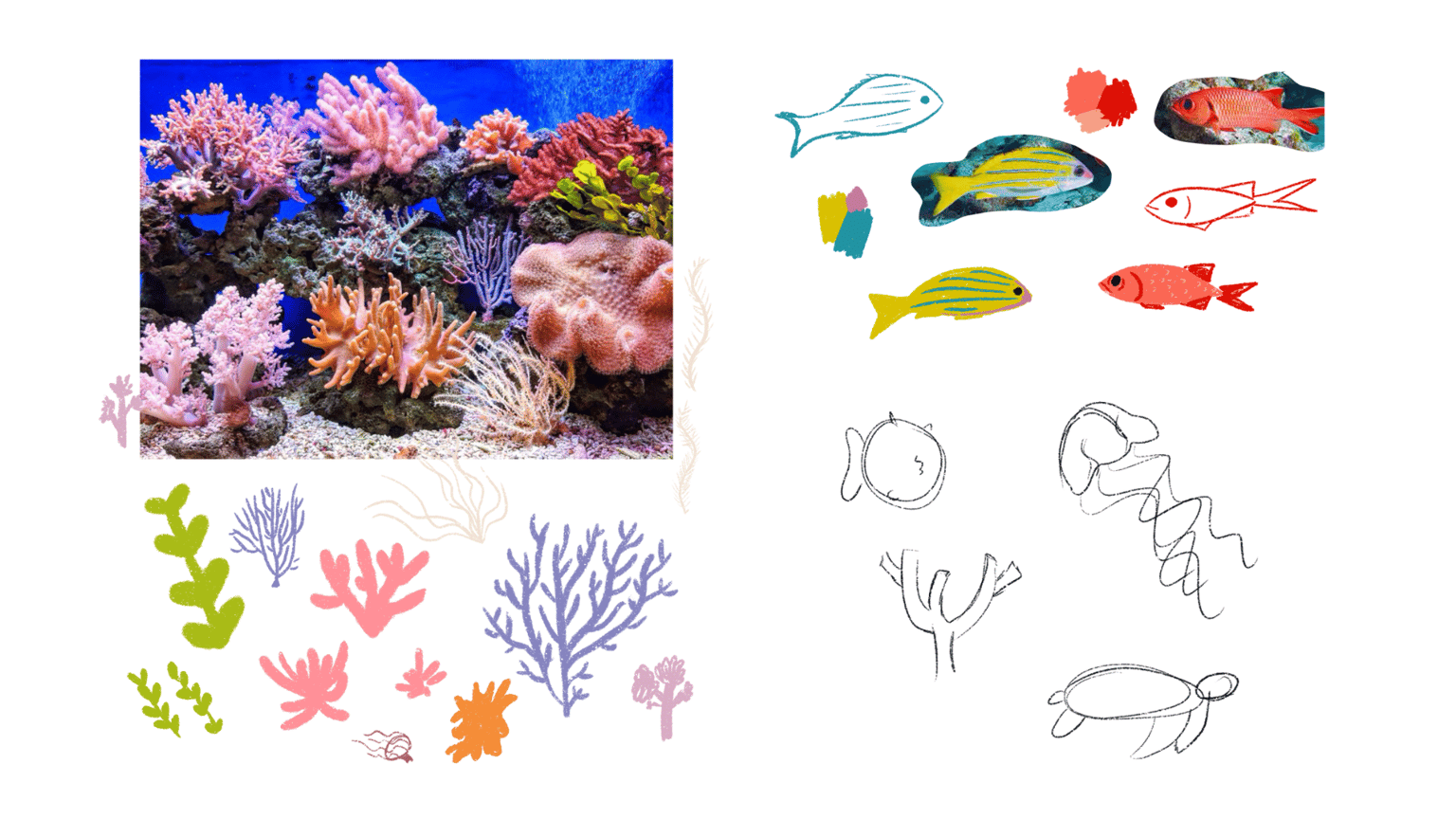An underwater view - image 1 - student project