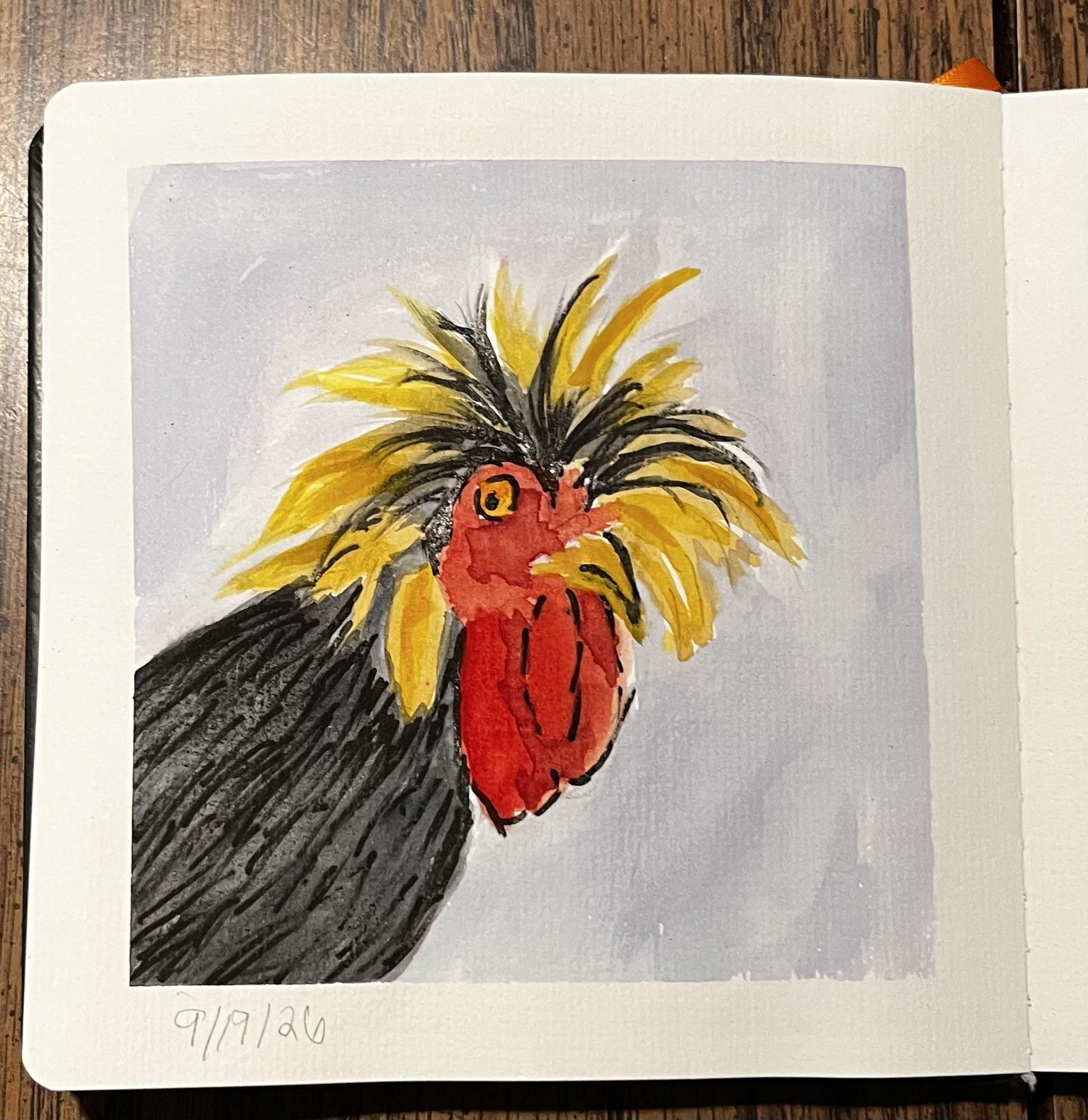 Chicken Portraits - image 1 - student project