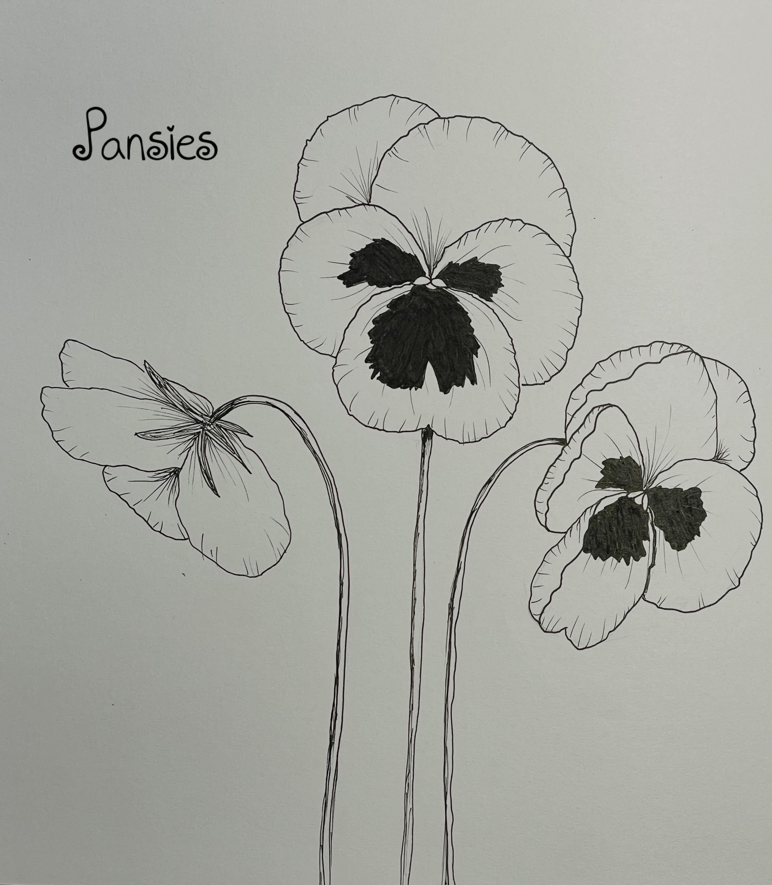 Many happy flowers - image 1 - student project