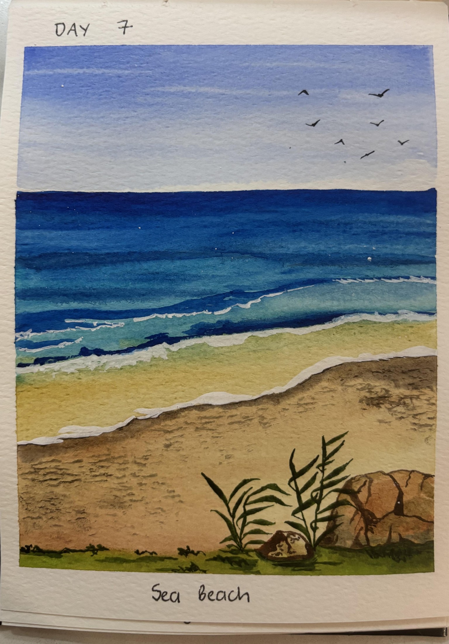 Seascapes - image 4 - student project