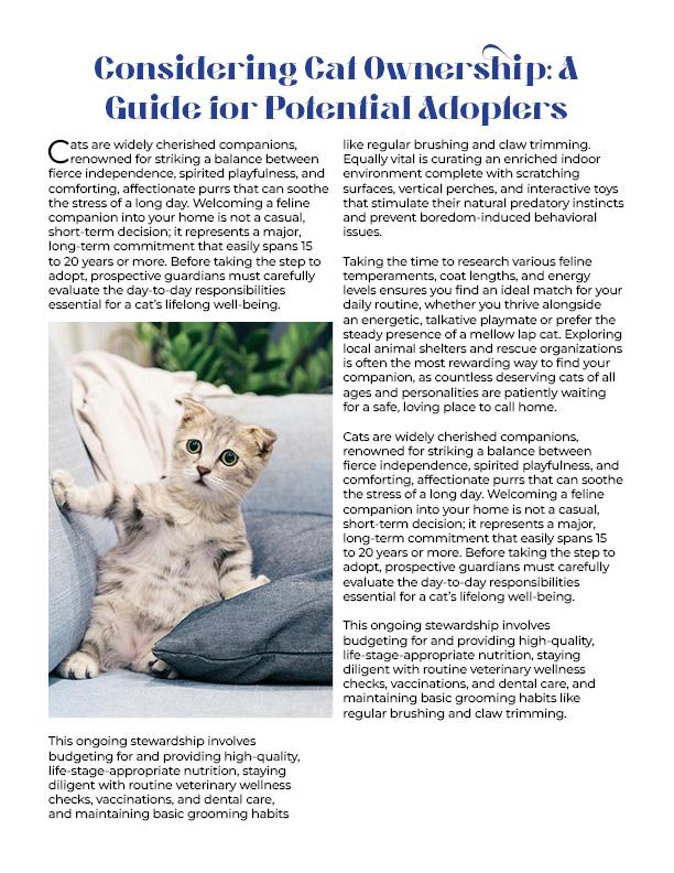 Cat Care - image 2 - student project
