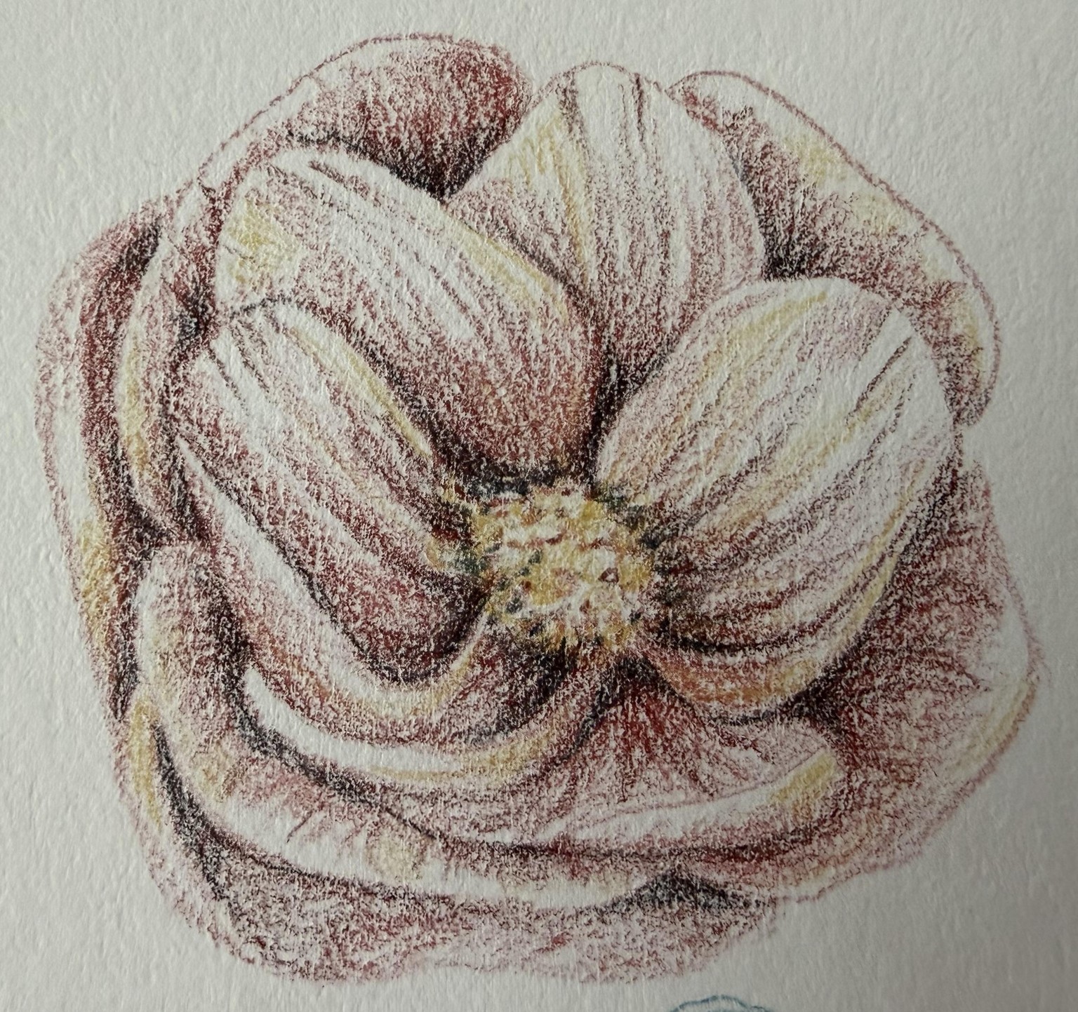 Watercolor Pencils ~ Fantastic Class 🩵 - image 4 - student project