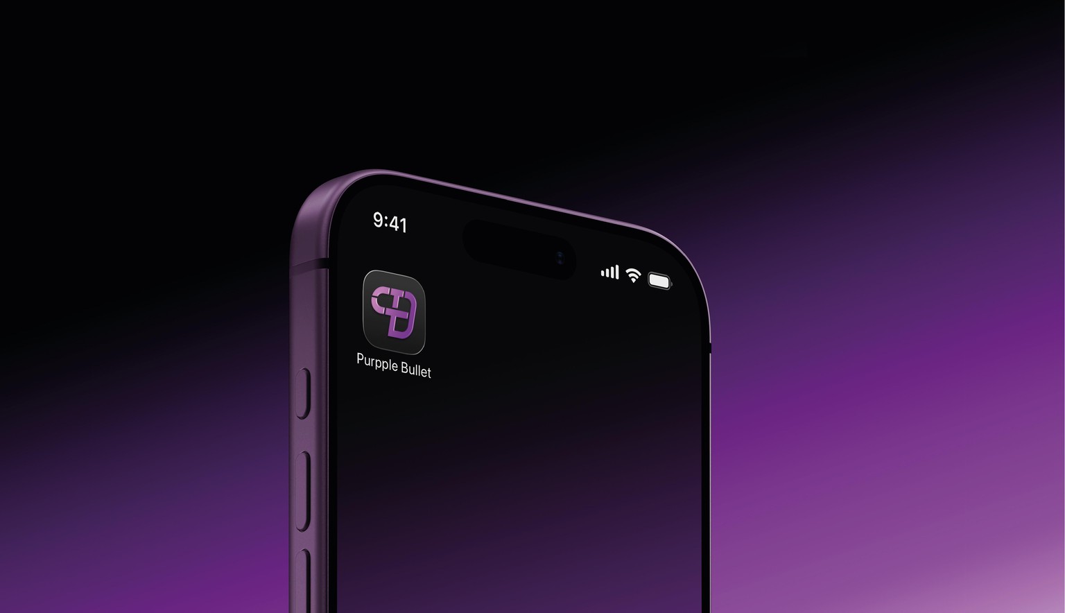 Purple Bullet Company - image 11 - student project
