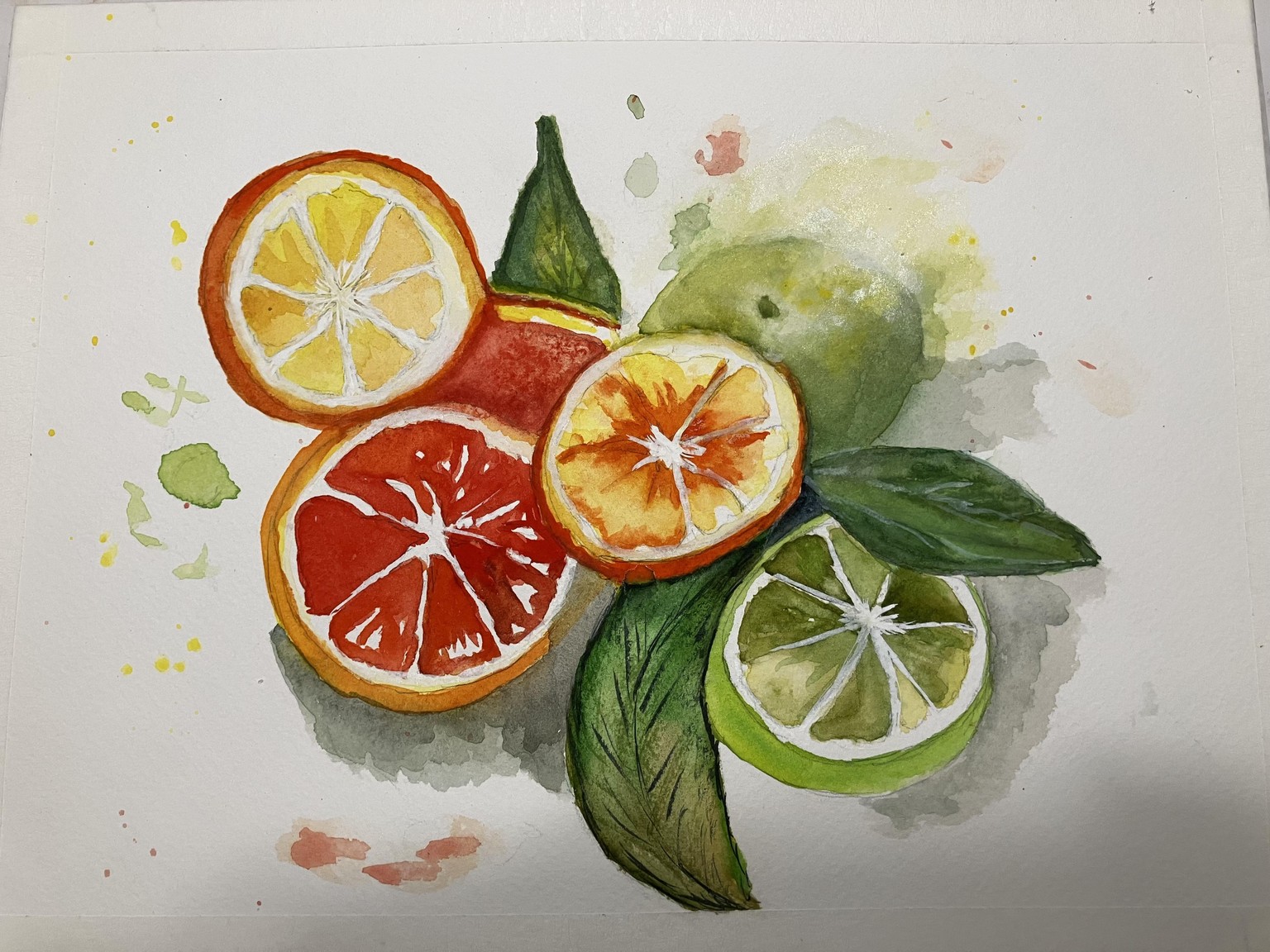 Citrus with Will - image 1 - student project