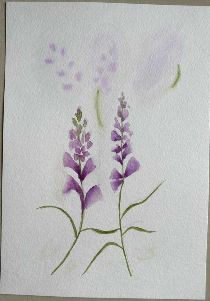 Wildflowers in watercolors - image 6 - student project
