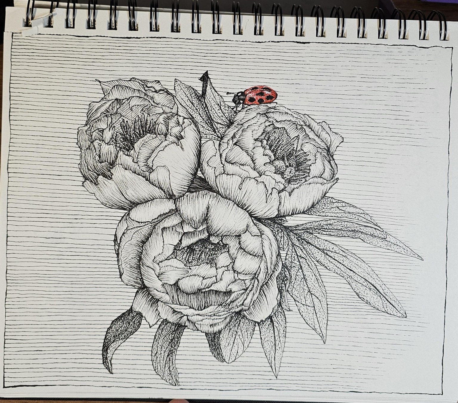 My simple hatching practice - image 1 - student project