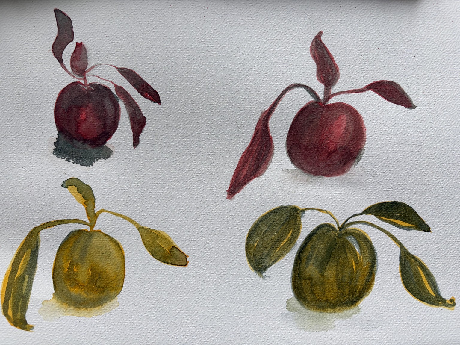 Four appels in red, yellow and black - image 1 - student project