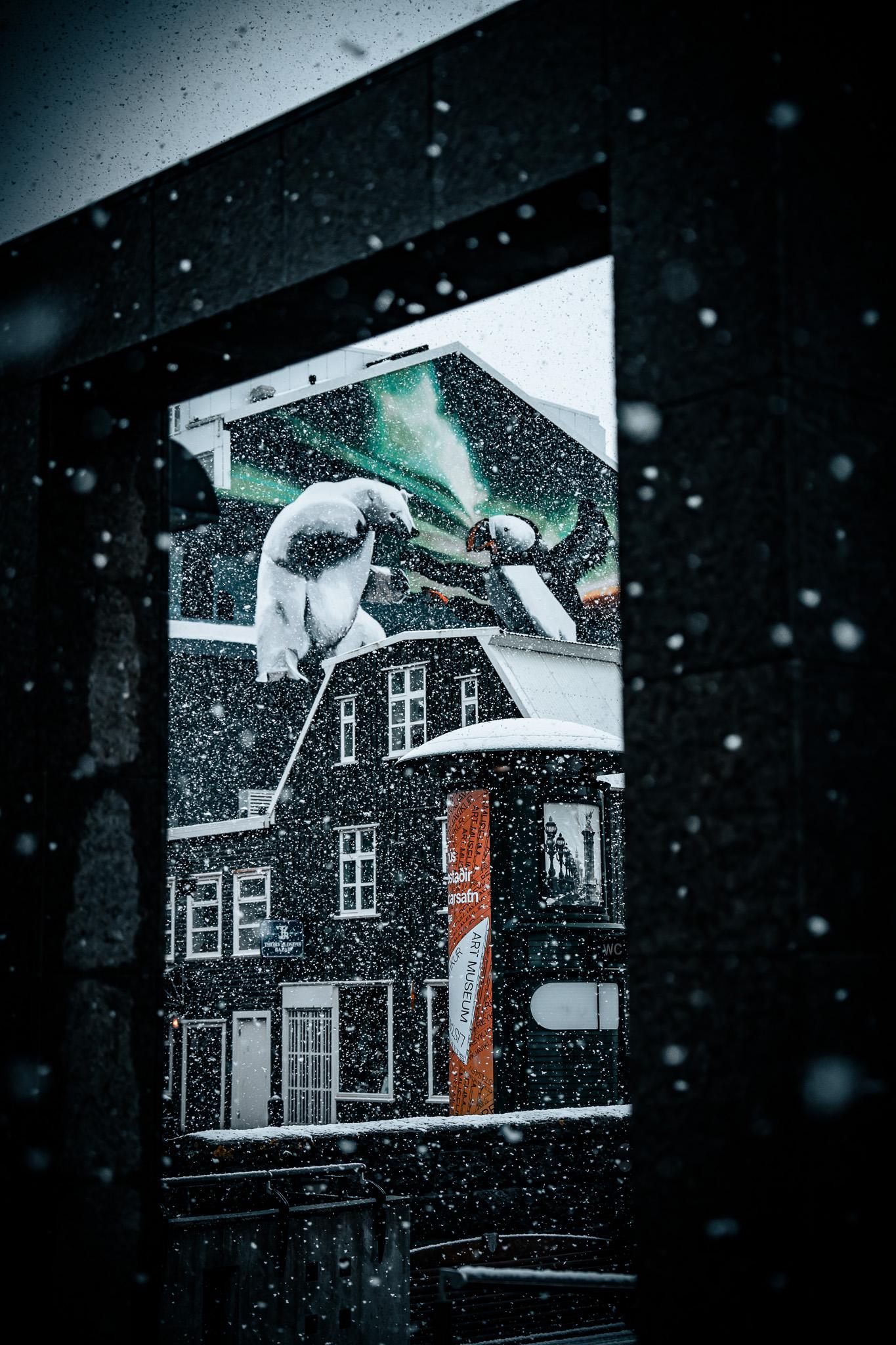 Street shots - Japan and Iceland - image 3 - student project