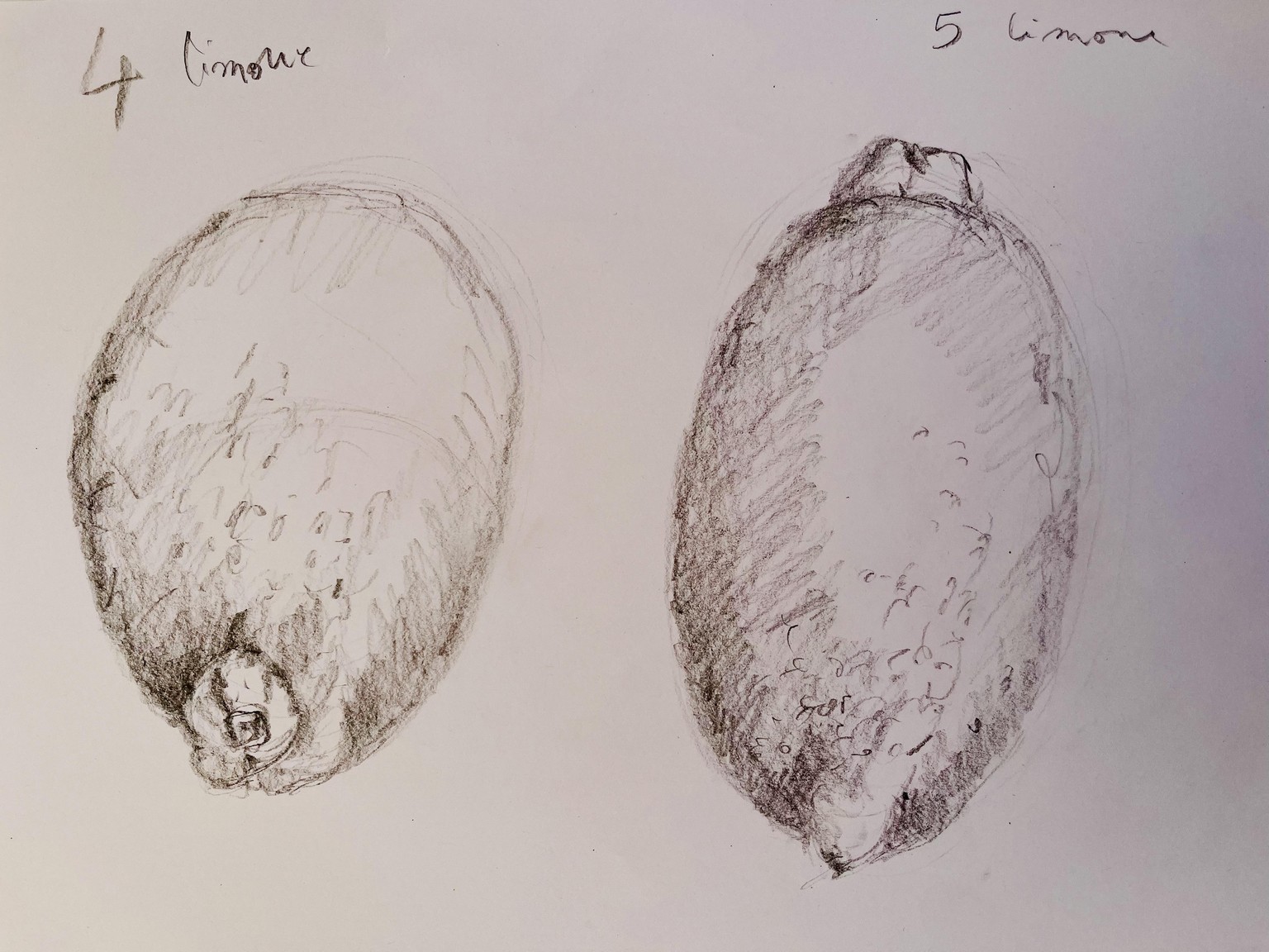 Lasciamo il segno - image 4 - student project