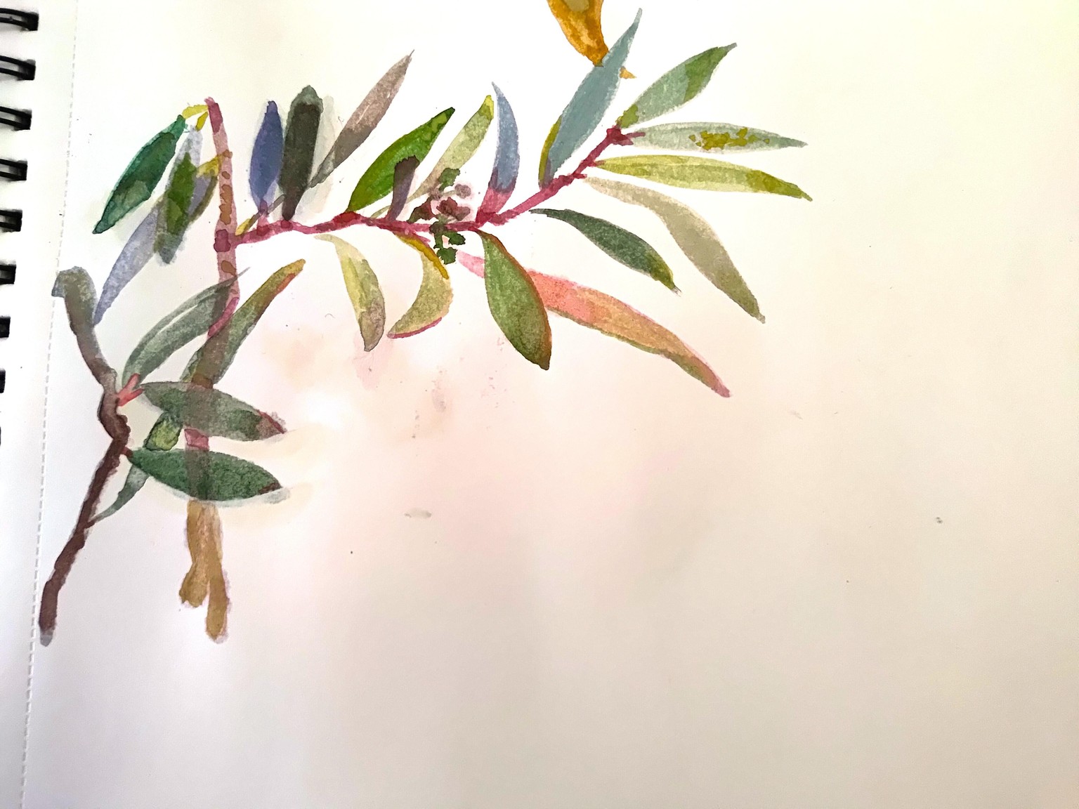 First ever watercolor - image 1 - student project